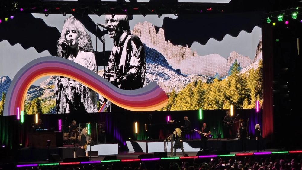 Stevie Nicks in concert